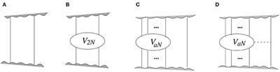 The Problem of Renormalization of Chiral Nuclear Forces